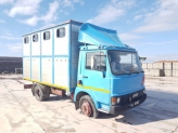 Camion annunci Fiat Iveco 50 trasporto animali vivi (NO vendita macchina Fiat Iveco 50 trasporto animali vivi (NO usati offerte aste macchine utensili attrezzature e macchinari