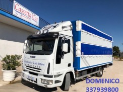 IVECO  EUROCARGO 75E15 TRASPORTO CAVALLI-ANIMALI VIVI usato Autocarro Isuzu modello P35,  foto 10